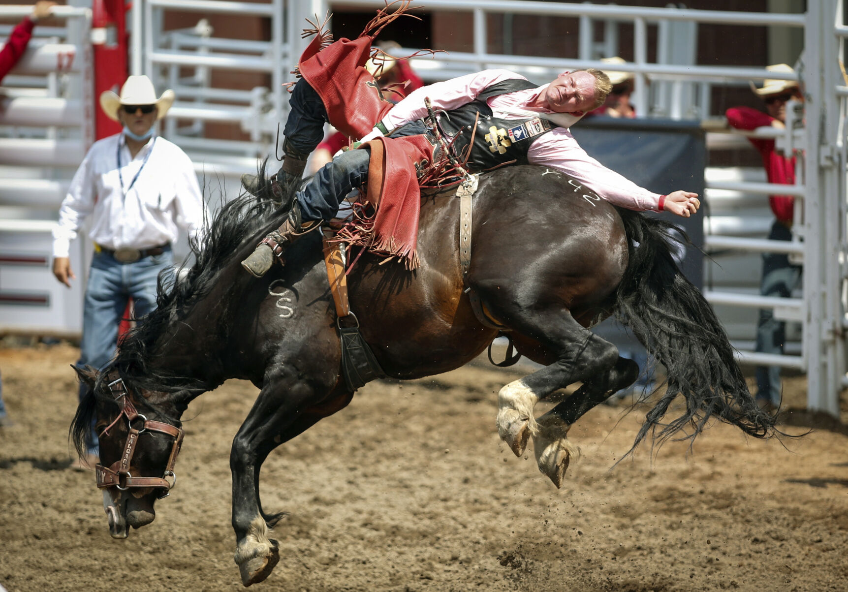 APTOPIX Calgary Stampede Rodeo